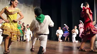 Pandinita - Ballet Folklórico Tierra Nuestra