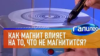 Галилео | Эксперимент 🧲 Как магнит влияет на то, что не магнитится?