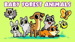 Learn Wild Animals | Baby Animal Names | Newborn Forest Babies | Wildlife video for Kids