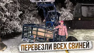 Забрали последних поросят. Трудимся всей семьей на ферме | Молодая Ферма