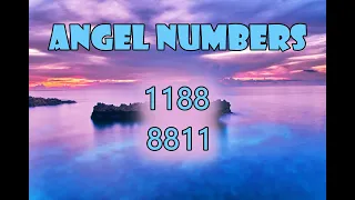 Angel Number 8811 and 1188 mirror numbers - Passion and Romance are protected - Tarot Reading