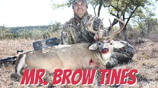 Huge Brow Tine Buck