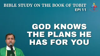 Bible Study on the book of Tobit: God knows the plans He has for you - Fr Joseph Edattu VC