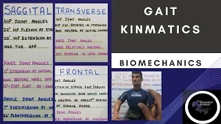 GAIT KINEMATICS  (Gait Biomechanics)Physiotherapy Tutorial