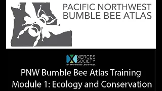 PNW Bumble Bee Atlas Training  - Module 1: Ecology and Conservation