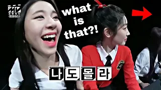 a collection of funny moments from twice