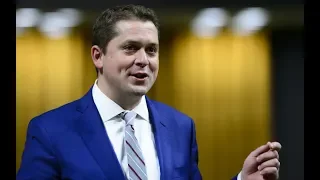 Question Period: Mental health, carbon pricing, housing costs — January 30, 2019