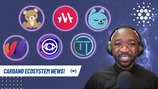 Cardano Ecosystem News! TOP Tokens, TOP APR Farms, Teddy Swap, Tap Tools & More!