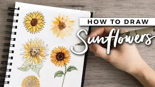 How to Draw Sunflowers! | DOODLE WITH ME + Tutorial!