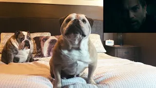 Elvis & Khaleesi Reaction to “Doctor Sleep” Official Trailer