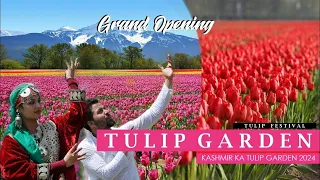 Kashmir Srinagar Tulip Garden -The picturesque garden ! Grand Opening 2024 #cinematicvideo