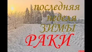 РАКИ. Прогноз на неделю с 26 фев. по 4 марта 2018г. + БОНУС.