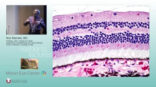 Retinal Pathology