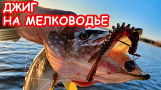 ЩУКА НА МЕЛКОВОДЬЕ. ЛОВЛЯ ЩУКИ НА ДЖИГ. РЫБАЛКА НА СПИННИНГ