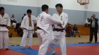 Judo Combinations