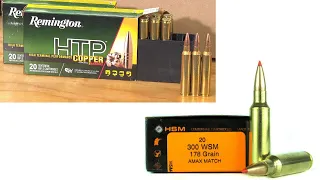 300 Remington Ultra Mag vs 300 Winchester Short Mag