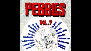 Pebbles Vol. 7  Original Artyfacts From The First Punk Era