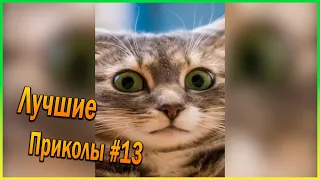 603 СЕКУНД СМЕХА / ЛУЧШИЕ ПРИКОЛЫ ЗА ЯНВАРЬ 2021 / НОВЫЕ ПРИКОЛЫ / BEST CUBE / ТЕСТ НА ПСИХИКУ УГАР!