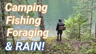 Solo camping & trout fishing in POURING RAIN! (Catch and Cook Trout and Matsutake)