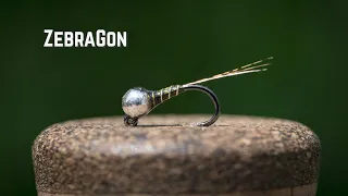 ZebraGon - Smash a Zebra Midge & Mayfly Perdigon Together for an IRRESISTABLE Nymph!