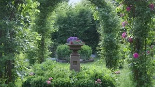 Rosenzauber und seltene Gäste im Riedgarten