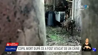 Un copil în vârstă de 6 ani din Constanţa a murit după ce a fost muşcat de câini