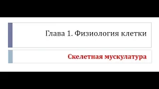 Физиология. Глава 1. Клетка. Урок 8. Скелетная мускулатура