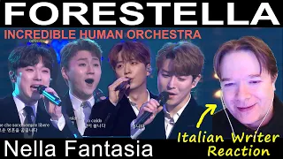 FORESTELLA 포레스텔라 - Nella Fantasia - WRITER reaction 작성자 반응