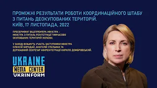 Ірина Верещук, Віцепрем’єр-міністр