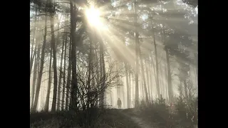 Норвежский лес, первая глава.