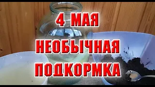 4 мая.  Необычная подкормка из отходов