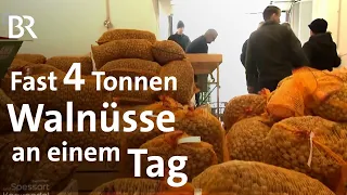 Sammenheim: Das Walnuss-Dorf in Mittelfranken | Zwischen Spessart und Karwendel | Doku | BR