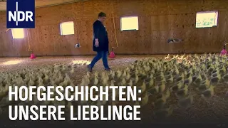 Hofgeschichten: Unsere Lieblinge | Die Nordreportage | NDR Doku