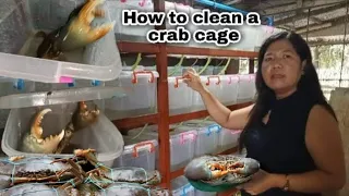 House fattening crab.