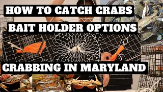 Crabbing In Maryland - Best Bait Holder Options For Crab Traps