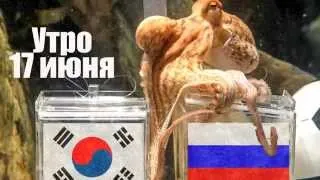 Футбол ЧМ 2014 Россия-Южная Корея 1:1 извинения внука Пауля.Прикол
