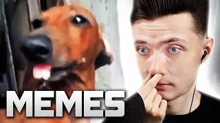 ХЕСУС СМОТРИТ МЕМЫ | REACTION TO UNUSUAL MEMES COMPILATION V123 | РЕАКЦИЯ