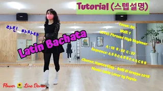 🍀Tutorial 스텝설명🍀 Latin Bachata 라틴 바차타/Phrased High Beginner 초급작품