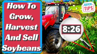 Farming Simulator 22 -  Soybeans Complete Guide - How To Grow, Harvest And Sell Soybeans