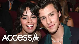 Camila Cabello Puts Shawn Mendes Breakup Speculation To Rest