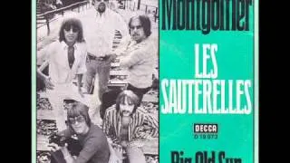 LES SAUTERELLES - Montgolfier