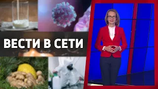 #5 Вести в сети