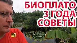 Биоплато пруда спустя 3 года. Последний наш опыт по ссылке в описании!