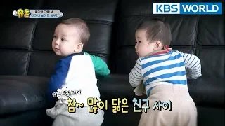 The Return of Superman | 슈퍼맨이 돌아왔다 - Ep.216 : Living, Loving, and Learning [ENG/IND/2018.03.18]