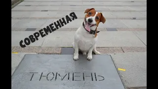 Тюмень