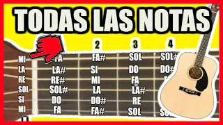 🎸Todas las notas en la GUITARRA - Notas musicales en la guitarra (teoría musical)