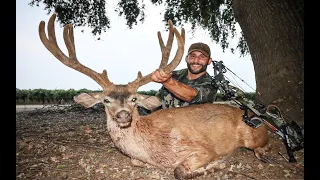 Chad Mendes Arrows His Biggest Cali Buck to Date!!| The Wine Buck!!