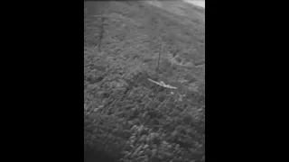 Junkers Ju 52 hit at treetop level by a USAAF fighter