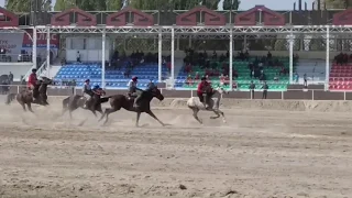 Таши Майлыбашов улакты "прогибке" ыргытып салды 😱