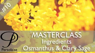 Perfume Masterclass episode 10 - Ingredients - Osmanthus & Clary Sage
